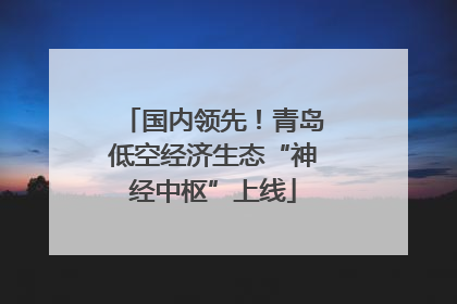 国内领先！青岛低空经济生态“神经中枢”上线