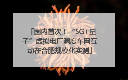 国内首次！“5G+量子”虚拟电厂调度车网互动在合肥规模化实测