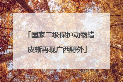 国家二级保护动物蜡皮蜥再现广西野外