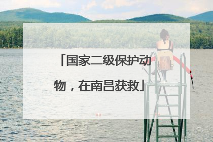 国家二级保护动物，在南昌获救