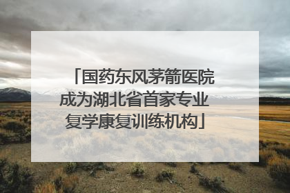 国药东风茅箭医院成为湖北省首家专业复学康复训练机构