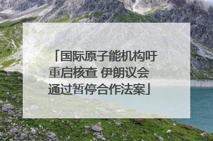 国际原子能机构吁重启核查 伊朗议会通过暂停合作法案