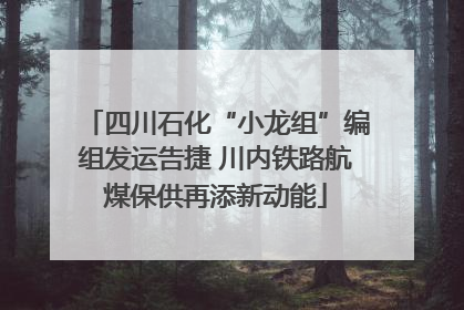四川石化“小龙组”编组发运告捷 川内铁路航煤保供再添新动能