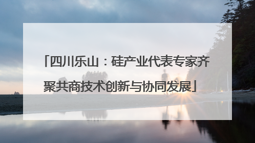 四川乐山：硅产业代表专家齐聚共商技术创新与协同发展