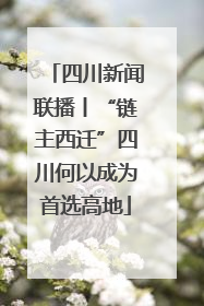 四川新闻联播丨“链主西迁”四川何以成为首选高地