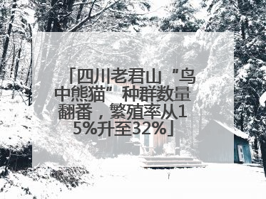 四川老君山“鸟中熊猫”种群数量翻番，繁殖率从15%升至32%