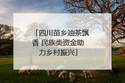 四川苗乡油茶飘香 民族类资金助力乡村振兴