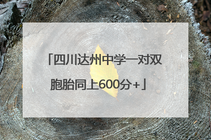 四川达州中学一对双胞胎同上600分+