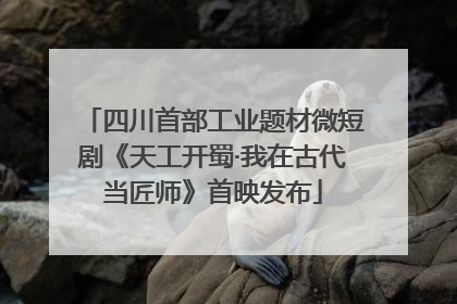 四川首部工业题材微短剧《天工开蜀·我在古代当匠师》首映发布