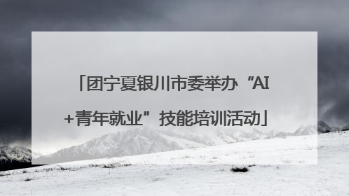 团宁夏银川市委举办“AI+青年就业”技能培训活动