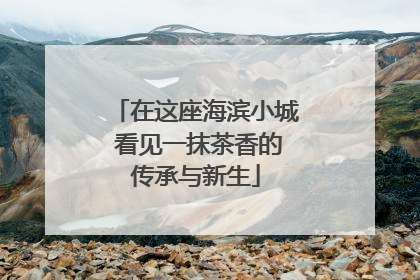 在这座海滨小城 看见一抹茶香的传承与新生