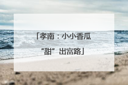 孝南：小小香瓜 “甜”出富路