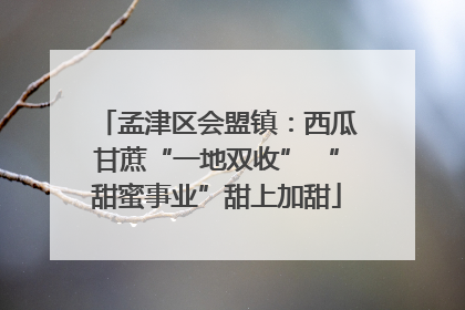孟津区会盟镇：西瓜甘蔗“一地双收” “甜蜜事业”甜上加甜