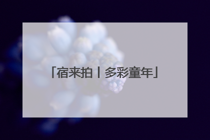 宿来拍丨多彩童年