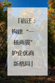宿迁：构建“一核两翼”护企优商新格局