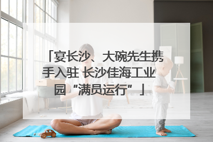 宴长沙、大碗先生携手入驻 长沙佳海工业园“满员运行”