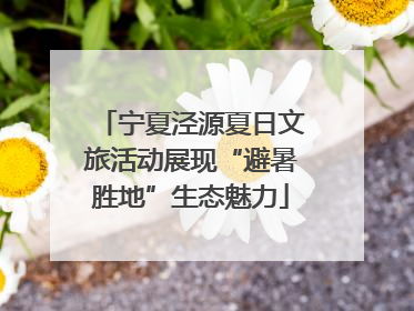 宁夏泾源夏日文旅活动展现“避暑胜地”生态魅力