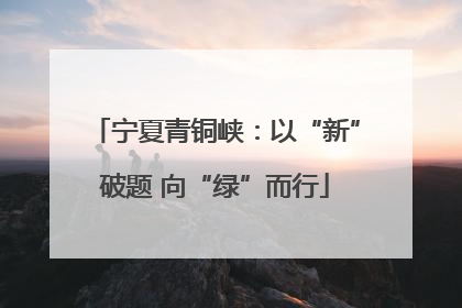 宁夏青铜峡：以“新”破题 向“绿”而行