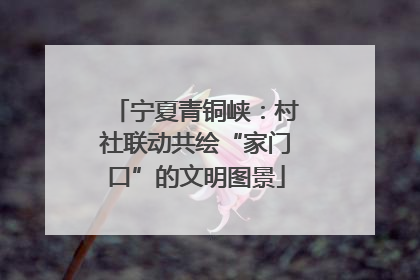 宁夏青铜峡：村社联动共绘“家门口”的文明图景