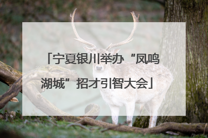 宁夏银川举办“凤鸣湖城”招才引智大会