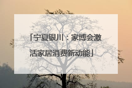 宁夏银川：家博会激活家居消费新动能