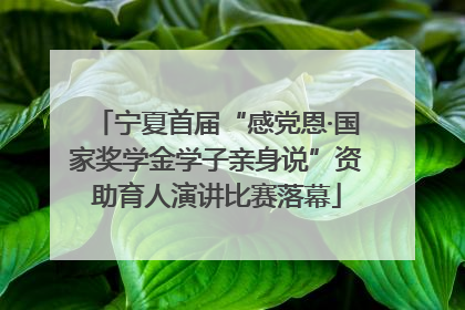 宁夏首届“感党恩·国家奖学金学子亲身说”资助育人演讲比赛落幕