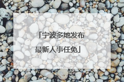 宁波多地发布最新人事任免