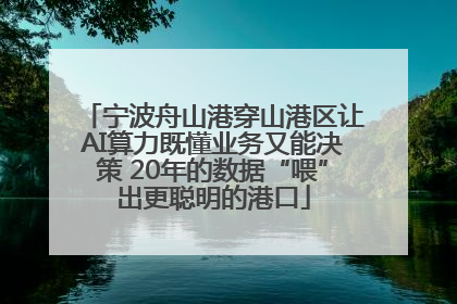 宁波舟山港穿山港区让AI算力既懂业务又能决策 20年的数据“喂”出更聪明的港口
