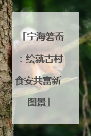 宁海箬岙：绘就古村食安共富新图景