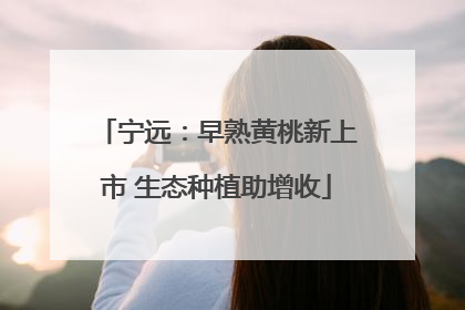 宁远：早熟黄桃新上市 生态种植助增收