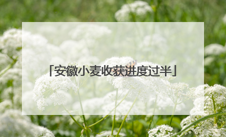 安徽小麦收获进度过半