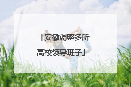 安徽调整多所高校领导班子