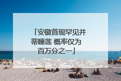 安徽首现罕见并蒂睡莲 概率仅为百万分之一