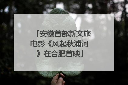 安徽首部新文旅电影《风起秋浦河》在合肥首映