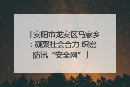 安阳市龙安区马家乡：凝聚社会合力 织密防汛“安全网”