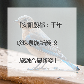安阳殷都：千年珍珠泉焕新颜 文旅融合展新姿