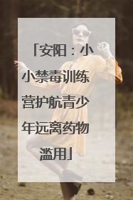 安阳：小小禁毒训练营护航青少年远离药物滥用