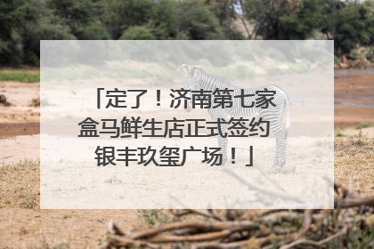 定了！济南第七家盒马鲜生店正式签约银丰玖玺广场！