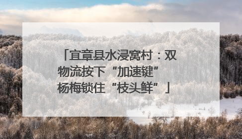 宜章县水浸窝村：双物流按下“加速键” 杨梅锁住“枝头鲜”