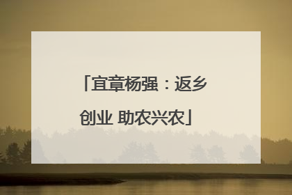 宜章杨强：返乡创业 助农兴农