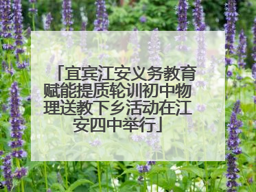 宜宾江安义务教育赋能提质轮训初中物理送教下乡活动在江安四中举行