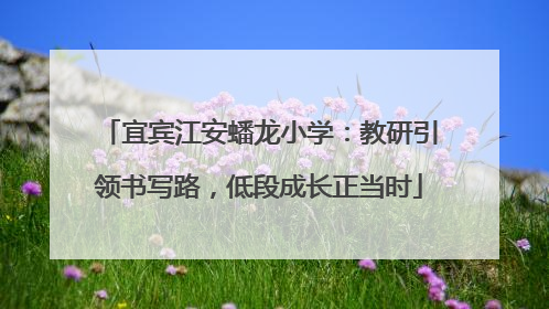 宜宾江安蟠龙小学：教研引领书写路，低段成长正当时