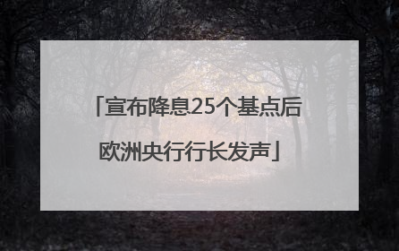 宣布降息25个基点后 欧洲央行行长发声