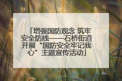 增强国防观念 筑牢安全防线——石桥街道开展“国防安全牢记我心”主题宣传活动