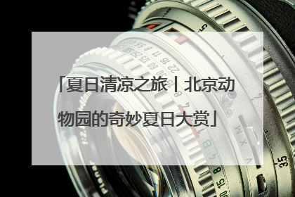 夏日清凉之旅丨北京动物园的奇妙夏日大赏