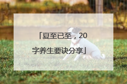 夏至已至，20字养生要诀分享