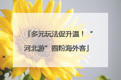 多元玩法促升温！“河北游”圈粉海外客