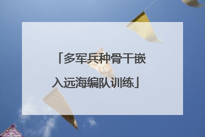 多军兵种骨干嵌入远海编队训练