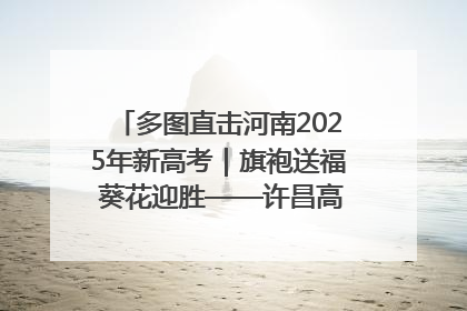 多图直击河南2025年新高考｜旗袍送福 葵花迎胜——许昌高考首日拉开帷幕