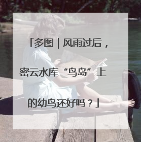 多图｜风雨过后，密云水库“鸟岛”上的幼鸟还好吗？